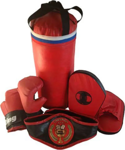 Набор боксерский детский ЧЕМПИОН (мешок 40см, перчатки, лапы, пояс чемпиона)