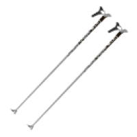 Лыжные палки