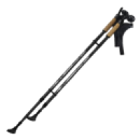 Палки для скандинавской ходьбы