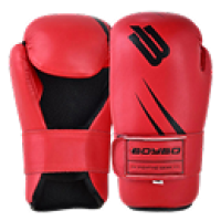 Перчатки для тхэквондо