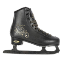 Коньки ледовые