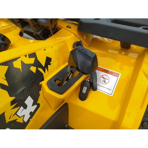 MOTOLAND ALL ROAD X 200 жёлтый