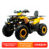 MOTOLAND WILD TRACK LUX 200 желтый