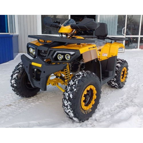 MOTOLAND WILD TRACK LUX 200 желтый
