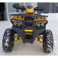 MOTOLAND WILD TRACK LUX 200 желтый