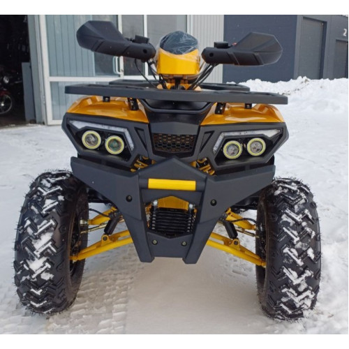 MOTOLAND WILD TRACK LUX 200 желтый