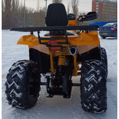 MOTOLAND WILD TRACK LUX 200 желтый