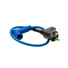 Катушка зажигания (универсальная) #1 синий провод