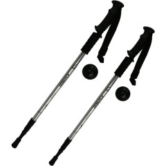 Палки для скандинавской ходьбы Espado, ENW-003 3-х секционные, серебристый