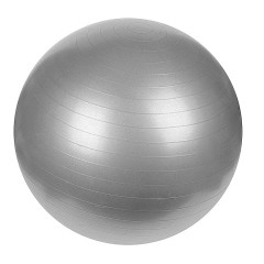 Мяч гимнастический СПОРТЕКС FBA-65-6 