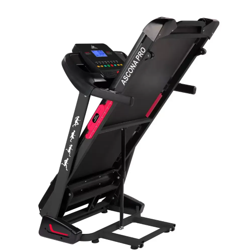 Беговая дорожка электрическая DFC ASCONA Pro T640