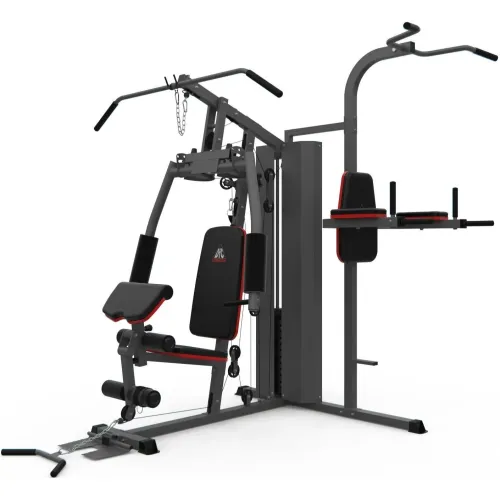 Силовой комплекс DFC D7004 (D7003 + опция брусья)