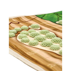 Коврик массажный ЭКО, 32х36,5 см (4667448)