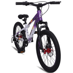Велосипед LTBIKE 20