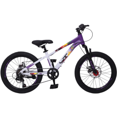 Велосипед LTBIKE 20