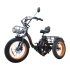Электровелосипед KUGOO TRIKE