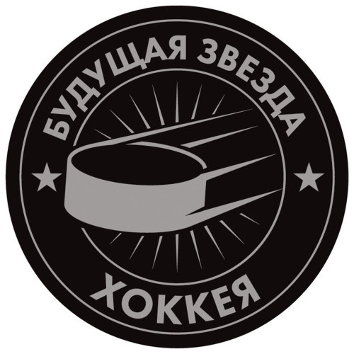 Шайба хоккейная детская БУДУЩАЯ ЗВЕЗДА (7896254)
