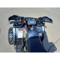 MOTOLAND WILD 125 цв. серый