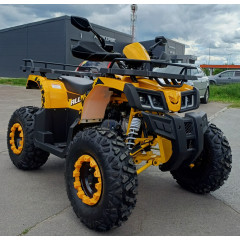 MOTOLAND ALL ROAD X 200 жёлтый