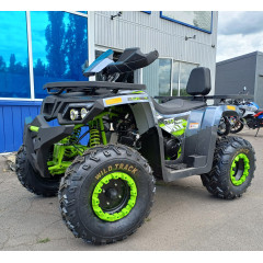 MOTOLAND WILD TRACK LUX 200 серый