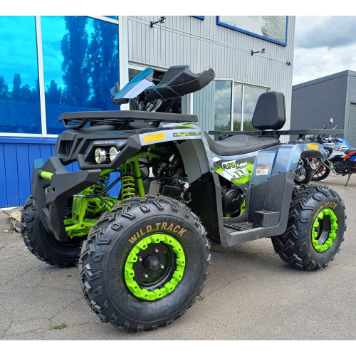 MOTOLAND WILD TRACK LUX 200 серый