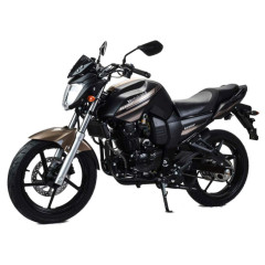 Мотоцикл Дорожный Motoland BANDIT 300 черный/коричневый