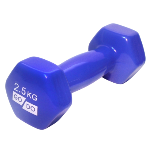 Гантель для фитнеса SPRINTER GO DO винил 2,5кг синий