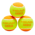 Мяч б/т  HEAD T.I.P Orange 3шт (30493-55064)
