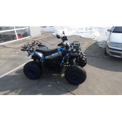 MOTOLAND ALL ROAD X 200 серый*3