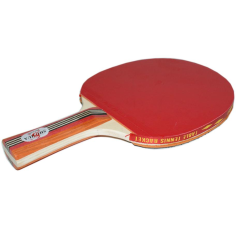 Ракетка н/т SPRINTER 2005, 2* + чехол (11092)