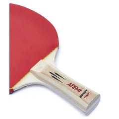 Ракетка н/т ATEMI HOBBY