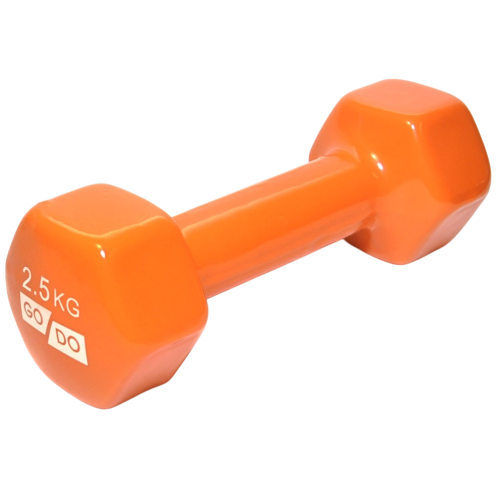 Гантель для фитнеса SPRINTER GO DO винил 2,5кг Оранжевый