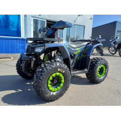 MOTOLAND WILD 125 цв. серый*3