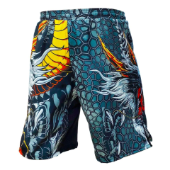 Шорты для MMA Rusco Sport Dragon взрослые, р. 48 (L)