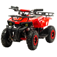 MOTOLAND ATV E009 1000Вт (игрушка)