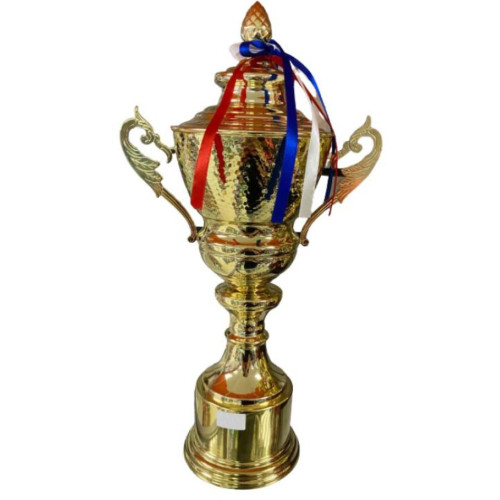 Кубок 2014В. Высота 46,5 см, диаметр чаши 15,5 см. Материал: металл, пластмасса