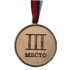 Медаль  3 место. Диаметр 4,5 см, длина ленты 38 см