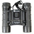 Бинокль NORIN 10x25 black