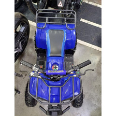 MOTOLAND ATV E009 1000Вт (игрушка)