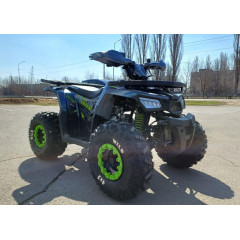 MOTOLAND WILD 125 цв. серый*3