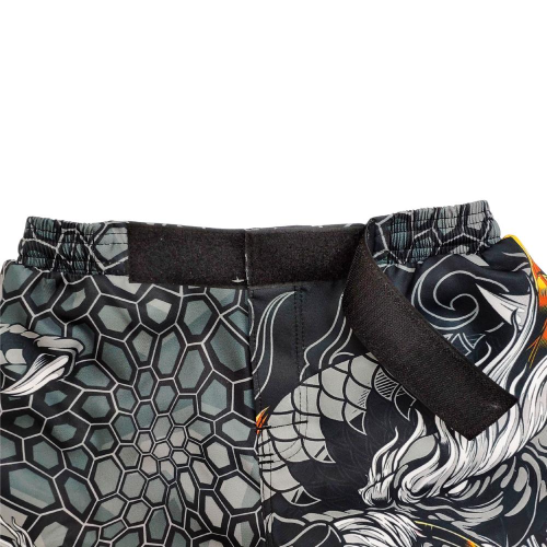 Шорты для MMA Rusco Sport Dragon взрослые, р. 42 (XS)