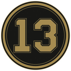 Шайба хоккейная 13 (7896247)