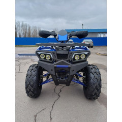 MOTOLAND WILD TRACK LUX 200 синий