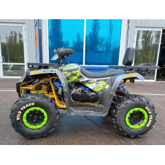 MOTOLAND WILD TRACK LUX 200 серый/зеленый