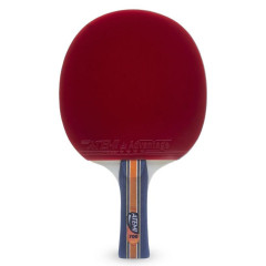 Ракетка н/т ATEMI 700 CV