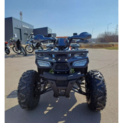 MOTOLAND WILD 125 цв. серый*3