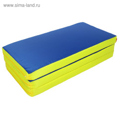 Мат для ДСК 100 х 150 х 8см (син/жел)