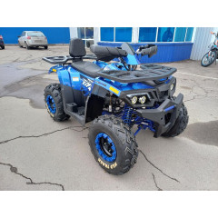MOTOLAND WILD TRACK LUX 200 синий
