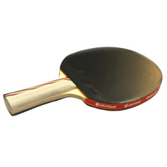 Ракетка н/т SPRINTER S-603  6* (11062)