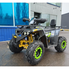 MOTOLAND WILD TRACK LUX 200 серый/зеленый